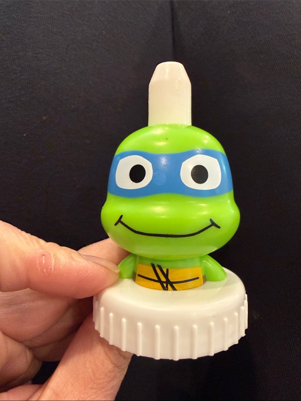 Leonardo TMNT Good2grow top